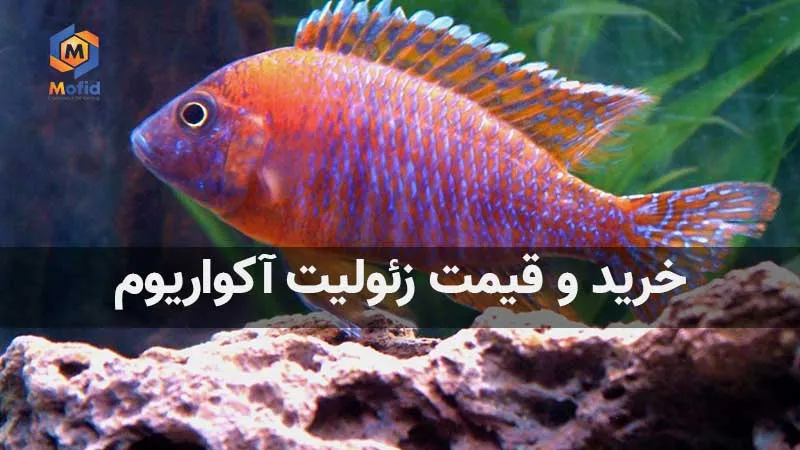 خرید و قیمت زئولیت آکواریوم