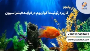 زئولیت آکواریوم