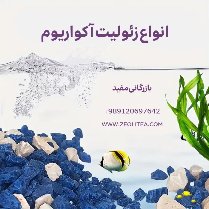 انواع زئولیت آکواریوم