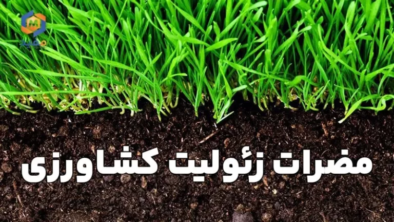 مضرات زئولیت کشاورزی