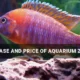 Buying and Pricing of Aquarium Zeolite