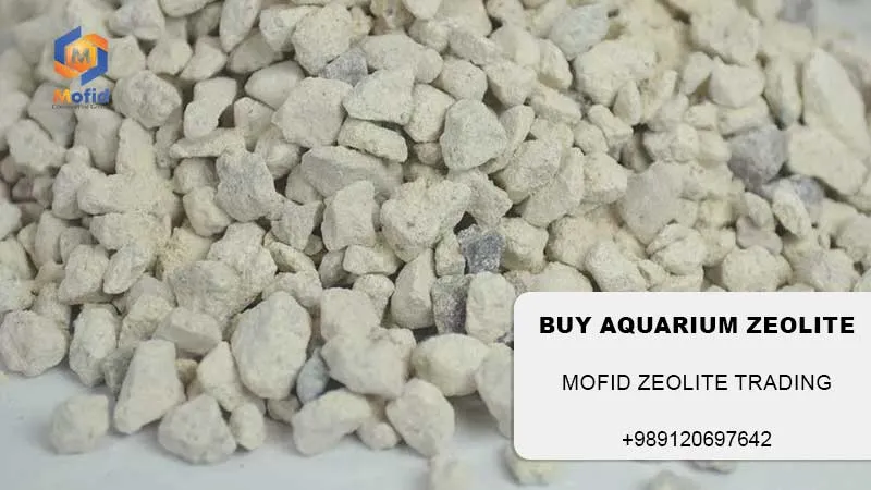 Impact of Using Zeolite in Aquarium Water