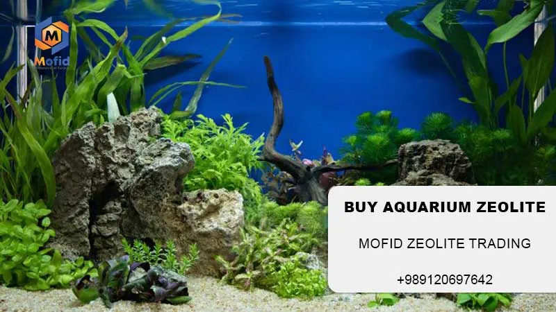 What is the Purpose of Enzymatic Aquarium Zeolite?