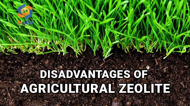 Disadvantages of agricultural zeolite